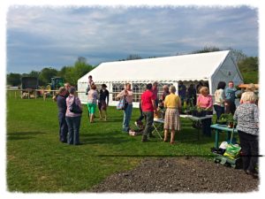 Photo of gardening club stall