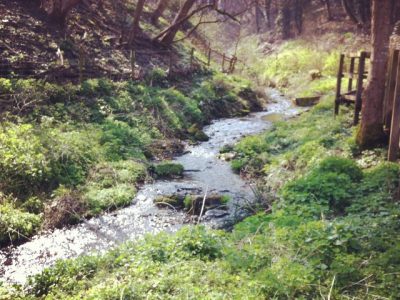 Stream in Chiseldon