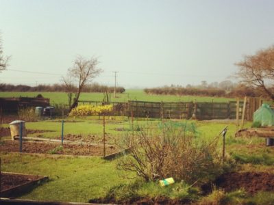 Allotments in Chiseldon Parish Council