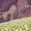 Chiseldon cottages