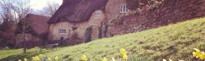 Chiseldon cottages