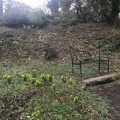 Iron bench Chiseldon