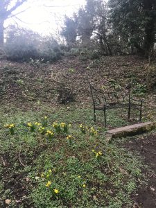 Iron bench Chiseldon