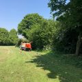 Hedge cutting Chiseldon