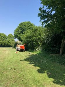 Hedge cutting Chiseldon