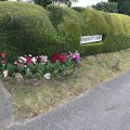 Berricot Lane