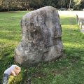 Planting by the stone