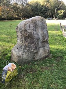 Planting by the stone