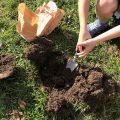 Trowel to dig bulbs Chiseldon