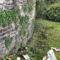 Planting by the wall, Chiseldon