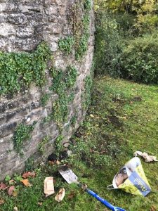 Planting by the wall, Chiseldon