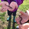 Worms in hands