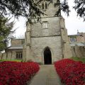 Churchyard full of Poppies 2018