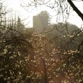 Church in Spring