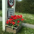 Flowers and 30 mph sign