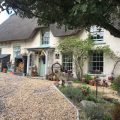 Cottage with spring flowers