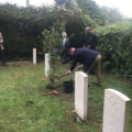 Planting WWII commemoration