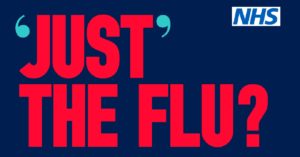 Just the flu? poster