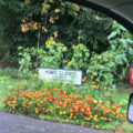 Home Close sign and flowers