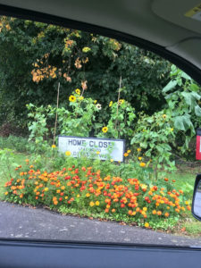 Home Close sign and flowers