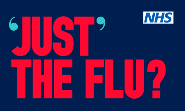 Just the Flu poster