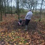 Millennium Wood Bulb Planting