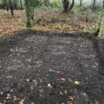 Millennium Wood Bulb Planting