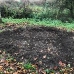 Millennium Wood Bulb Planting