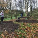 Millennium Wood Bulb Planting