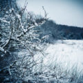 snow scene Chiseldon