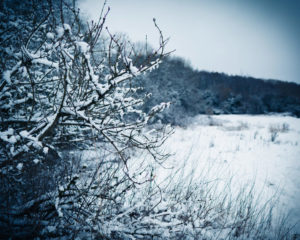 snow scene Chiseldon