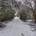 snowy scene Chiseldon