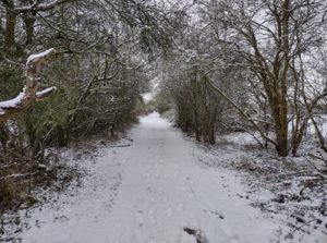 snowy scene Chiseldon