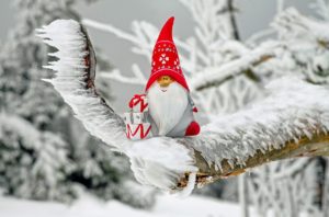 Santa Claus toy in a tree