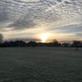 Frosty morning in Chiseldon