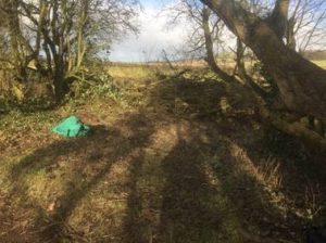 Railway Path The space beside the fallen tree