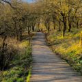 45 cycle route from Hodson to Coate Water