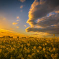 Sunset over Chiseldon Copyright Stewart Downes