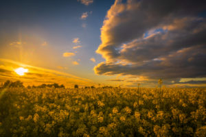 Sunset over Chiseldon Copyright Stewart Downes