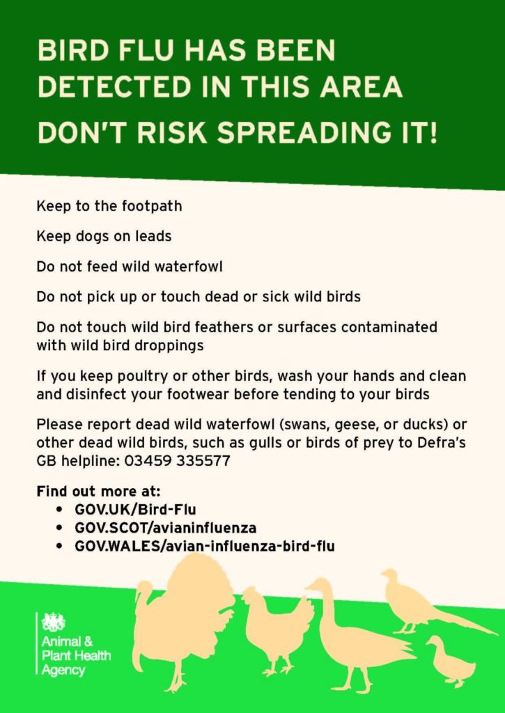 Avian flu poster
