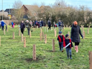 tree planting