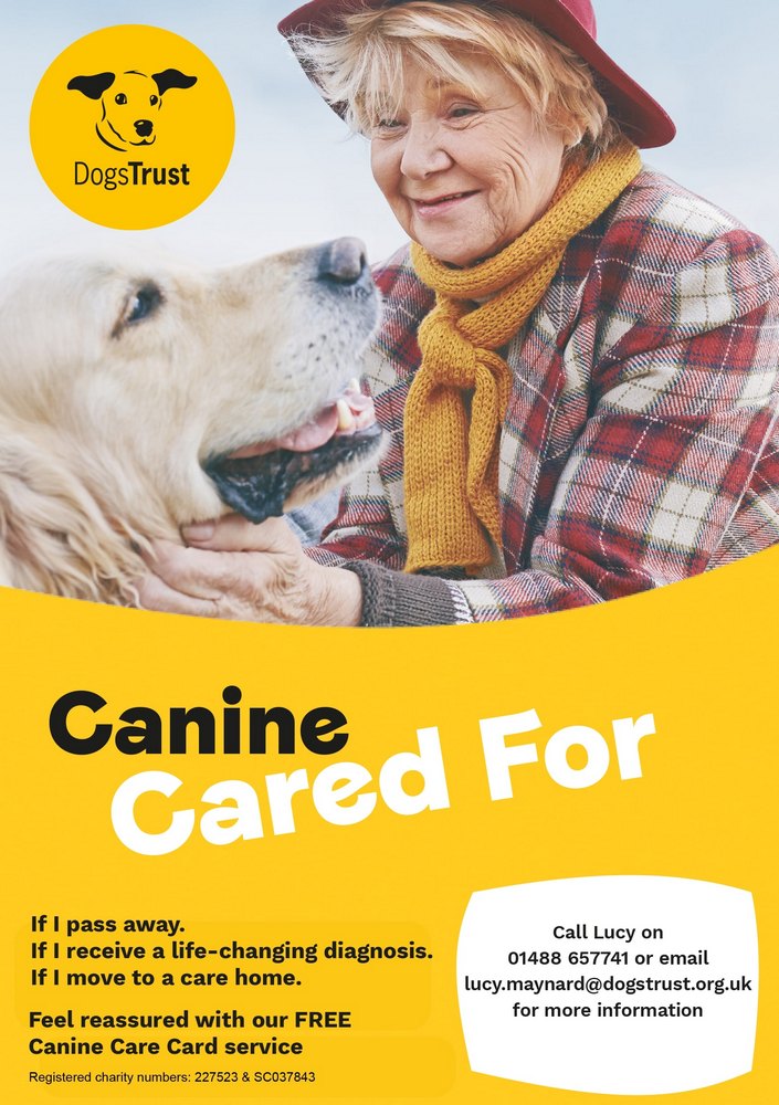 Poster for Dogs trust 'canine cared for' 
